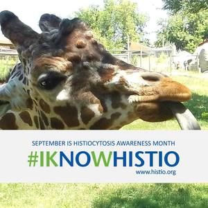 Meet your Posher, Marlena